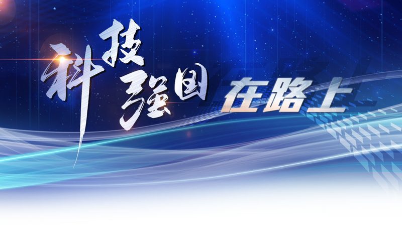 ERP软件实施费用谈判：如何精准把握成本与价值